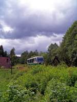 VT39 als VBG83120 zwischen Zwota und Klingenthal, 21.6.09. (Man beachte, ...