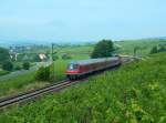 hessen RB 15517 von Assmanshausen nach Wiesbaden Hbf, bei Erbach (Rheingau); 27.06.2009