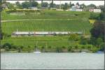 re-450-dpz S-Bahn Z�rich DPZ an der Goldk�ste zwischen Z�rich und Meilen. (24.06.2009)