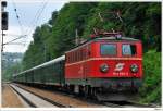 br-1141 Nachschuss auf den Sonderzug D16374. Tullnerbach-Pressbaum, 27.6.2009.