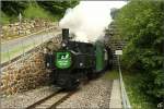 Zur Er�ffnung der Dampfbummelzugsaison 2009 fuhr am 23.06.2009 die STLB ...