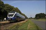 Hier ist VT710 als NWB81557 Der WARENDORFER kurz hinter Raestrup-Everswinkel ...