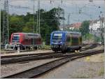 Blauwal trifft Rotwal bei der Einfahrt in den Bahnhof von ...