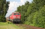 Durch die Vegetation der Gleise des Bahnhofes von Dettingen k�mpft ...
