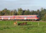 Eine RegionalBahn nach Minden/Westfalen ...  Frank Weber 05.07.2009