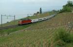 im Lavaux Eigentlich wollte ich den EN 273 'Pau Casal' Barcelona - Z�rich  in den sonnenbeschienen Rebbergen des Lavaux fotografieren; dazu musste ich um f�nf aufstehen, durch die D�mmerung wandern und dann feststellen: Entgegen meiner Hoffnung schafft es die Sonne um sieben Uhr doch nicht �ber den H�gelkamm...
11. Mai 2009
