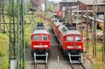 halle-saale 232 379, 233 521 sowie zwei weitere Ludmilla stehen am 04.07.09 im Railion-Werk Halle(S) abgestellt. Ganz rechts ist noch eine Ludmilla der EWR zu erkennen.