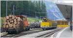 guterwagen Holz gegen Heizoel k�nnte man die G�tertransportstr�me �ber die Berninastrecke auch nennen. Pontresina Bahnhof. (03.07.2009)