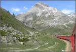 R1656 auf der Alp Bondo oberhalb von Bernina Lagalb. (18.06.2009) ...