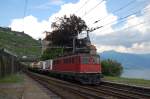 Ae 6/6 11456 mit G�terzug am 29.06.2009 in Rivaz  ...