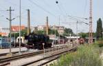 Sommerfest Halle (Saale) (46 Fotos)