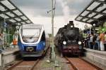 12. Juni 2005 Halle / Westfalen. Wiederer�ffnung des Haller Willem ...