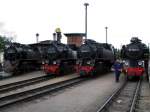 LOKPARADE mit neuer MOLLI-Dampflok BR 99 2324-4, BR 99 2323-6, ...