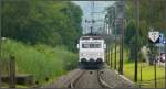 SOB Sudost-Bahn Re 456 o91 mit Voralpenexpress auf dem Damm von Rapperswil. (24.06.2009)
