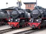 Mecklenburgische Baderbahn Molli  Lok BR 99 2322-8 und 99 2323-6 bei LOKPARADE, K�hlungsborn-West 10.07.2009
