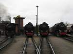 Mecklenburgische Baderbahn Molli MOLLI-Dampflok&acute;s BR 99 2321-0, 99 2322-8, 99 2323-6 und 99 2324-4 haben Aufstellung zur LOKPARADE, K�hlungsborn-West 10.07.2009
