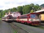 br-810 Brotbuchse 810 577-7 und zwei weitere Brotbuchsen stehen am 11-7-2009 au�er Betrieb auf Bahnhof Tanvald w�hrend die 843 007-6 abfahrtsbereits steht mit einem Zug nach Liberec.