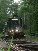 potsdam Natur pur am Bahnhof Rehbr�cke. Die Bahn ist als Linie 93 an der Endhaltestelle angekommen und wartet nun darauf, als Linie 91 zum Bahnhof Pirschheide zu fahren. 2009-07-17.