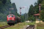 BR 225 225 008 & 217 011 am 17.06.09 mit 61907 von M�hldorf in die Wackerwerke nach Burghausen bei der Einfahrt in T��ling.