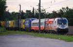 1x16 (Werbeloks) Bundesheerochse unterwegs mit einer RoLa im letzten Abendlicht kurz vor der Hst Ansfelden Richtung Selzthal, 13.7.2009