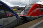 Knutschnasen in Saarbr�cken am 19. Juli 2009. Balaine und Walfisch ...