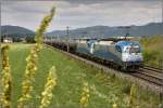 LTE Kesselwagenzug 48431 f�hrt ...  Leitner Thomas 24.07.2009
