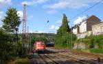 B�gelfalte 110 417-3 zieht ...  Nils Schmidt 25.07.2009