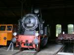 75 501 sonnt sich am 26. Juli 2009 im Schwarzenberger ...