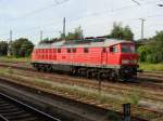233 493-6 f�hrt solo durch Magdeburg Hbf, fotografiert am 29.07.2009 ...