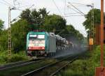 Am fr�hen Abend, bei sch�nem Wetter, ist der Gemmenicher Weg ...