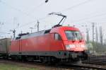 Ein deutscher Stier umf�hrt ...  Helmut Dimitroff 01.08.2009