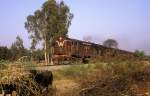 Sonstige 17 379  bei Lohian Khas  26.10.93