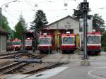 WB Waldenburgerbahn WB - Triebwagen Treff mit den BDe 4/4 17 Regio von Liestal + BDe 4/4 14 + BDe 4/4 15 + BDe 4/4 16 + BDe 4/4 12 in Waldenburg am 11.05.2009
