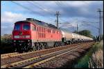 232 505-8 mit einem Kesselwagenzug aus Stendell. Stralsund am ...