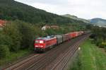 233 451 mit einem gemischten G�terzug am 04.08.2009 bei Hersbruck. ...