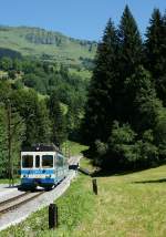 Regionalzug 449 der ASD kurz vor Vers-l Eglise am 06.08.2009.  ...