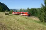 CJ 1435 mm Der Chemin de Fer du Jura (CJ) NPZ ist diesen Sommer bei der Travys zu Gast. Hier als Regionalzug 4216 kurz nach Le Pont auf der Fahrt nach Vallorbe. 
(5. August 2009)
