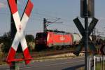 189 060 mit einem Kesselwagenzug am Bahn�bergang in Jessen, 06.08.09 ...
