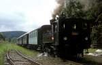 BR 310 (3 Fotos)