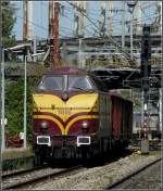 Die 1816 dieselt mit einem G�terzug am Haken durch den ...