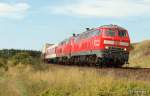 218 376-2 und 218 ...  Lars Backhaus 10.08.2009