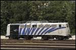 Das  Zebra  139 310 ...  Florian B�ttcher 15.08.2009