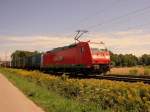 BR 185 mit Zugen 185 188-0 mit einem KLV-Zug Richtung Basel am 01.08.2009 bei Offenburg. Er wird wenig sp�ter auch Markus Kirchmann's Speicherchip in Herbolzheim beschreiben :))) (vgl. dazu Bild ID 319640)  
