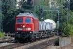 Seltener Gast am M�hldorfer ...  Sebastian Fuchs 18.08.2009