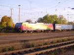 Die wundersch�ne 145-CL 031 durchf�hrt am 11.10. 08 den Bahnhof Celle ...