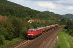 232 347 mit einem kurzen G�terzug am 04.08.2009 bei Hersbruck. ...
