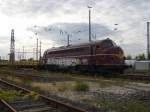 Welcher Idiot kann nur ...  Felix H�hne 21.08.2009