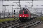 Mit goldener Bauch binde : Re 4/4 II 11181 tr�gt stolzer Brust ...