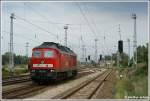 BR 232 Lokportraits 232 349 fuhr am 17.08.09 nach getaner Arbeit zur�ck ins Bw Rostock Seehafen.