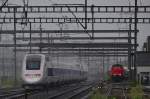 Farblich angepasst an die Umgebung: TGV-Doppel in der Ausfahrt von ...